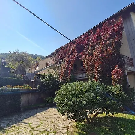 Guest house 