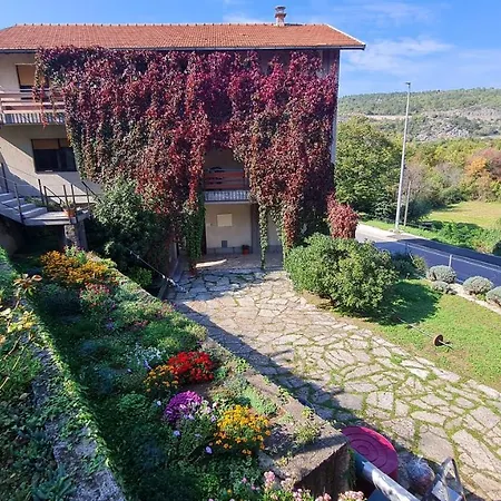 Guest house 