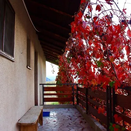 Apartman Nada Zunic *